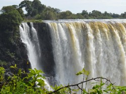 zimtour11